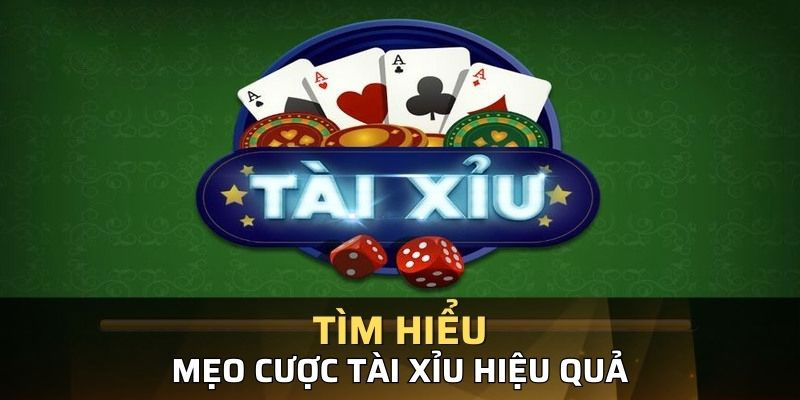 Mẹo đặt cược tài xỉu Tp88